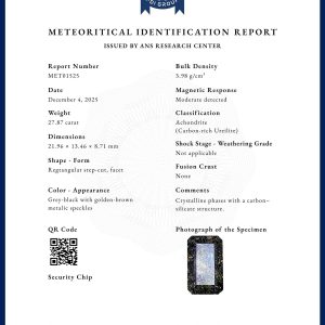 Achondrite - Carban -Rich Ureilite ( 5.6g)